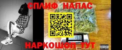 стаф Тверь