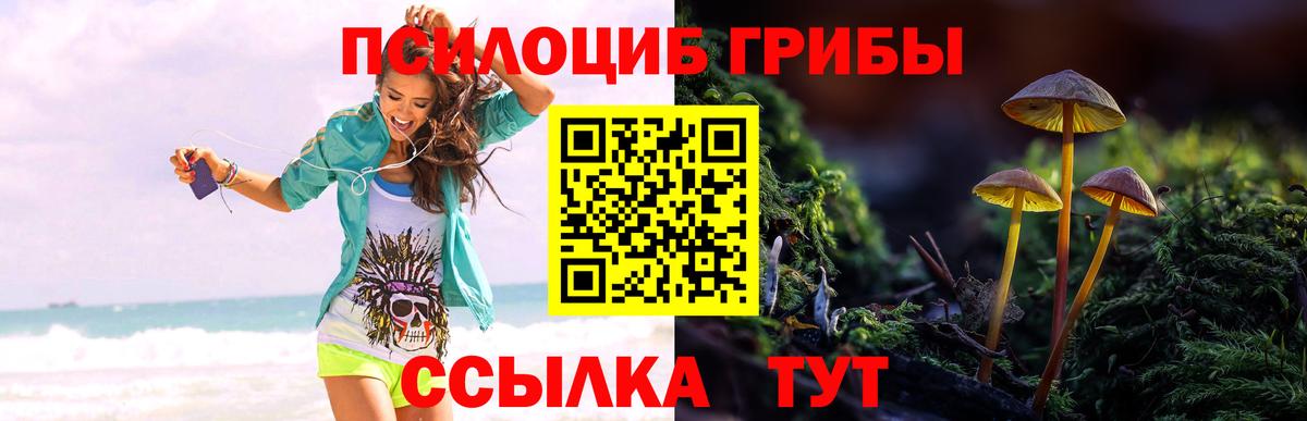 Галлюциногенные грибы мицелий  Вход с VPN  Нефтеюганск 
